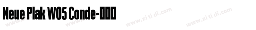 Neue Plak W05 Conde字体转换